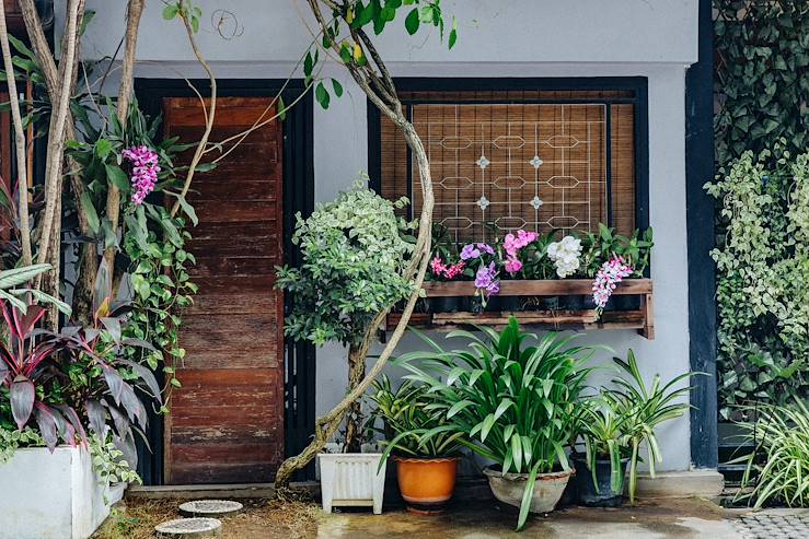 House and flowers - Chiang Mai - Thailand © Olivier Romano