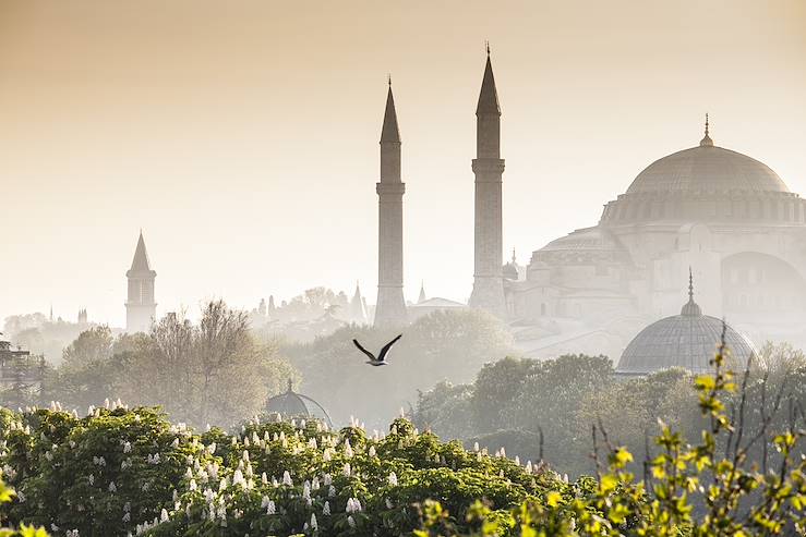 Hagia Sophia - Istanbul - Turkey © travelwitness/stock.adobe.com