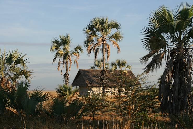 Tarangire Park - Tanzania © Vanessa Lourdin