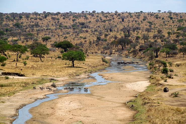 Tarangire National Park - Tanzania © Marie-Astrid Peltier