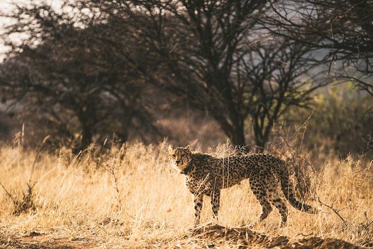 Tanzania © Un Cercle