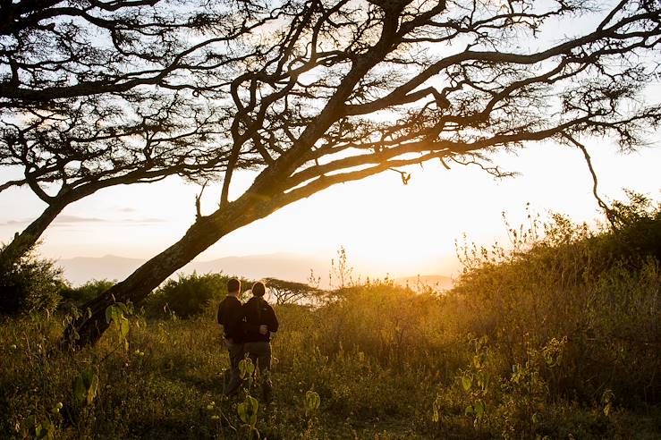 Safari in Tanzania © Droits reservés