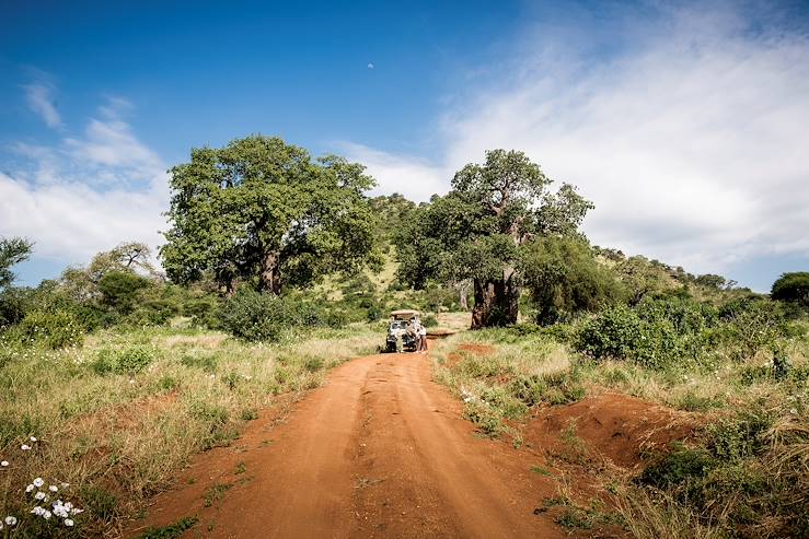 Safari in Tanzania © Droits reservés