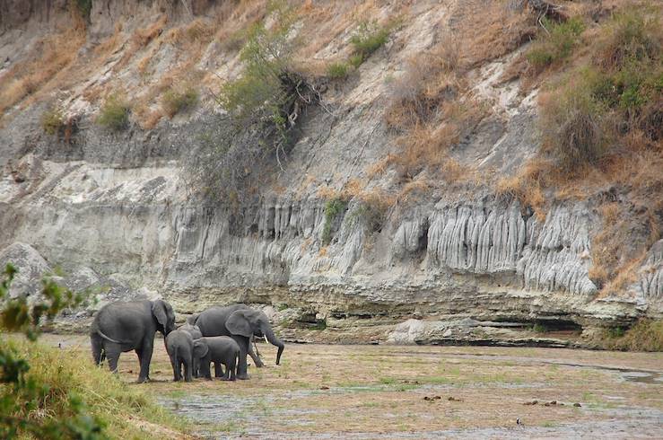 Elephants in Tarangire National Park - Tanzania © Olivier Charmes