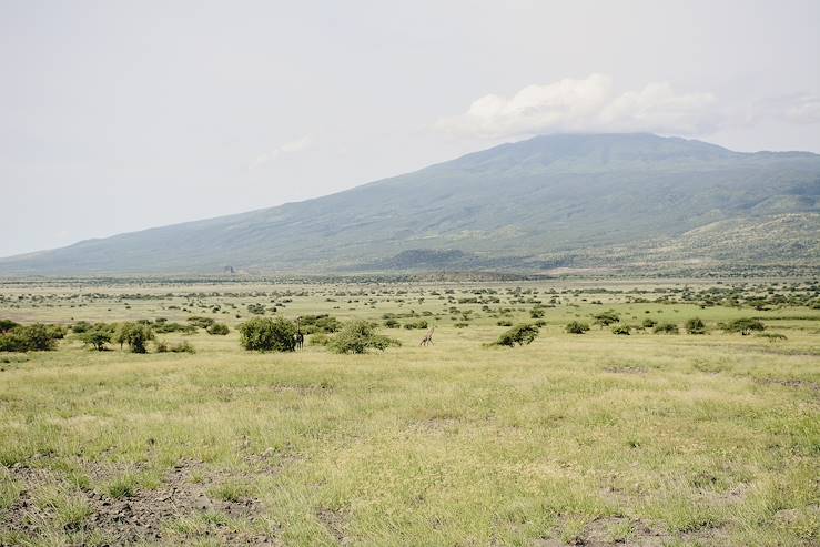 Savanna - Tanzania © Droits reservés