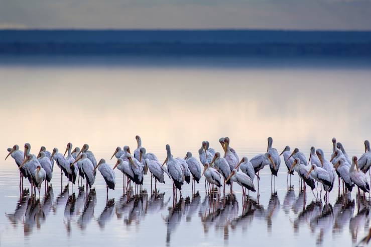 Lake Manyara - Tanzania © Getty Images/iStockphoto