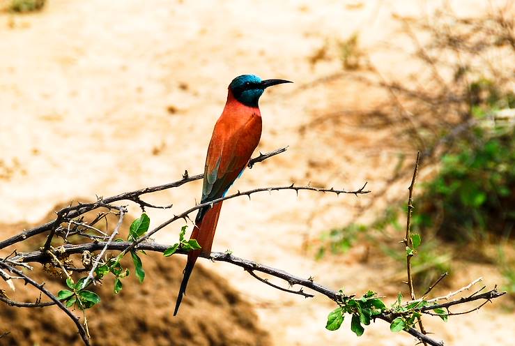 Rufiji River - Tanzania © Noradoa - stock.adobe.com