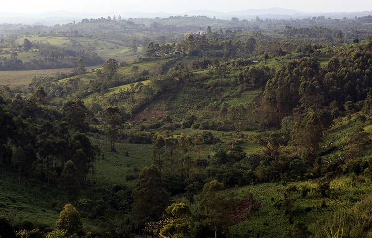 Kibale National Park - Uuganda © Alexander/Fotolia