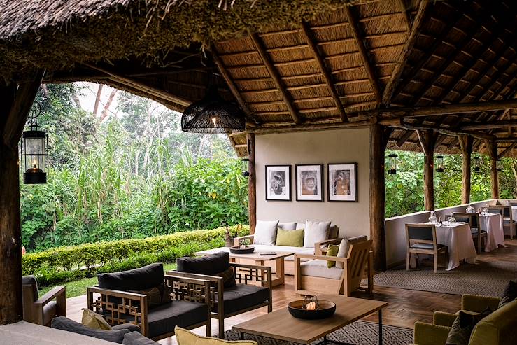 Luxury lodge - Uganda © Sanctuary Gorilla Forest Camp