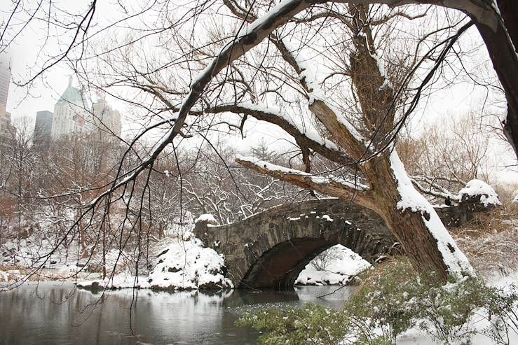 Central Park - New York - Etats-Unis © Droits reservés