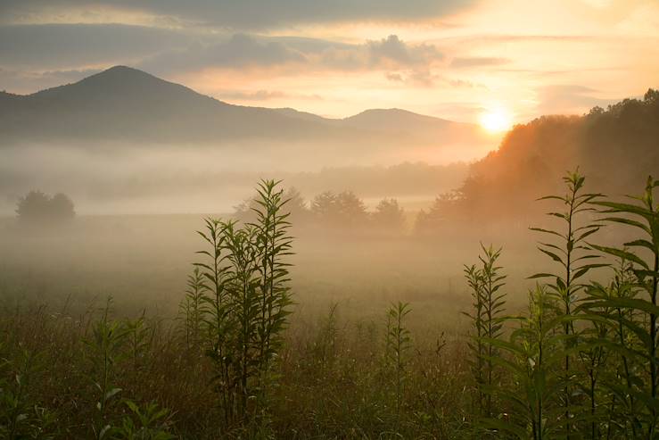 Great Smoky Mountains National Park - United States © Droits reservés