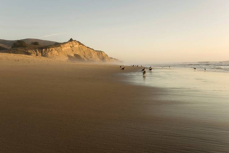 Birds on th beach - Big Sur - California - United States © mtilghma / Fotolia