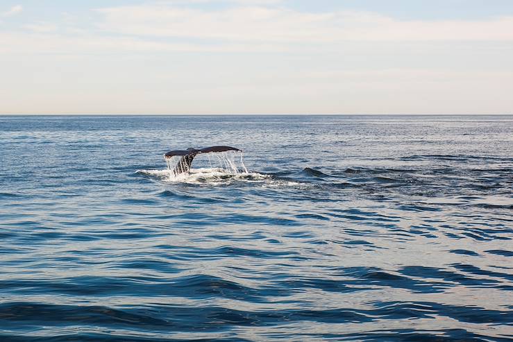 Cape Cod - Massachusetts - United States © mamahoohooba / Getty Images / iStockphoto