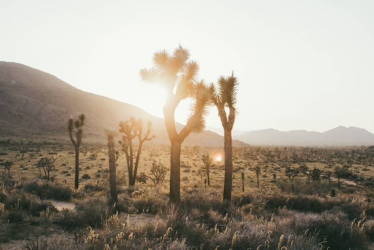 Californie - Etats-Unis © Zoé Fidji