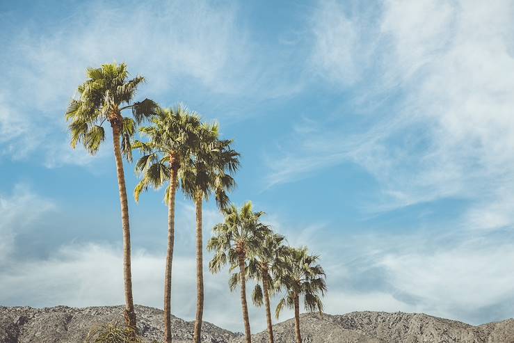 Palm Springs - California - United States © Droits reservés