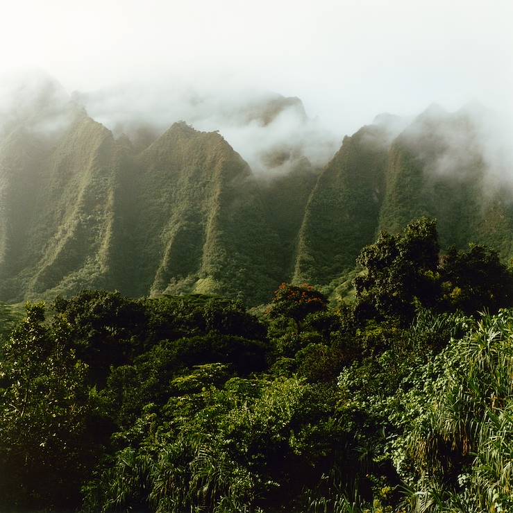 Oahu - Hawaï - Etats-Unis © Ronan Guillou