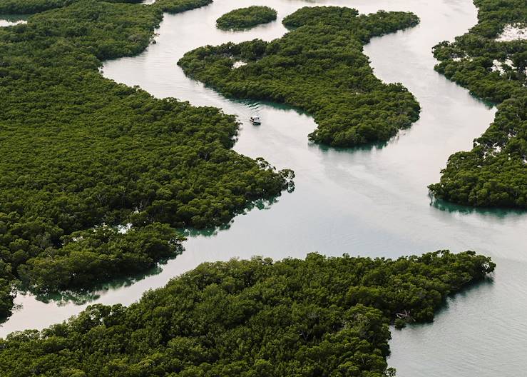 Parc national des Everglades - Floride - Etats-Unis © Andrew Hetherington/REDUX-REA