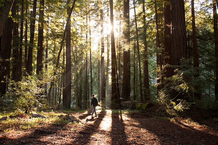 Glen Oaks Big Sur - Big Sur - California - United States © Onyx & Ash/Glen Oaks Big Sur 