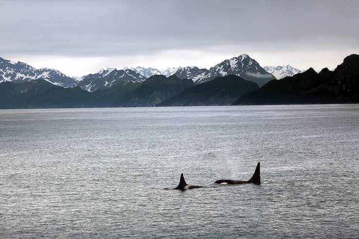 National Park Kenai Fjords - Alaska - United States © Alexander/Fotolia