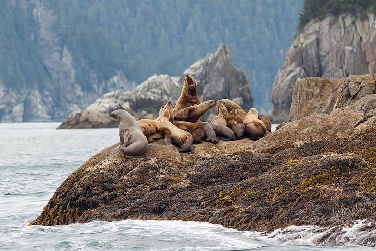 National Park Kenai Fjords - Alaska - United States © Mtn Michelle/Getty Images/iStockphoto