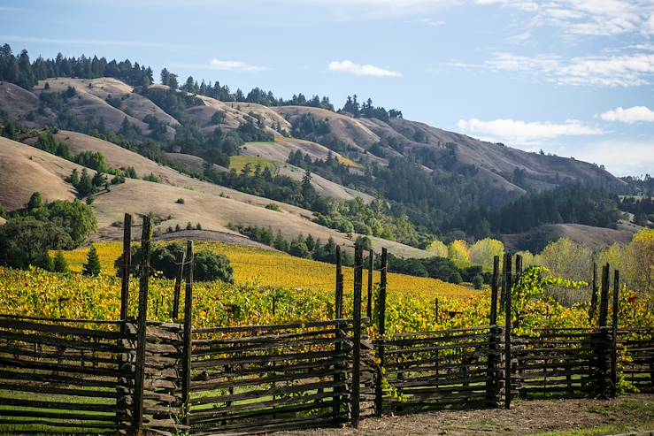 Anderson Valley - Californie - Etats-Unis © Alan Tobey/iStock/Getty Images Plus