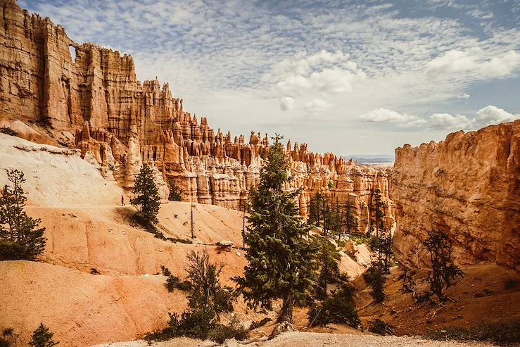 Bryce Canyon Natioanl Park - Utah - United States © piola666/Getty Images/iStockphoto