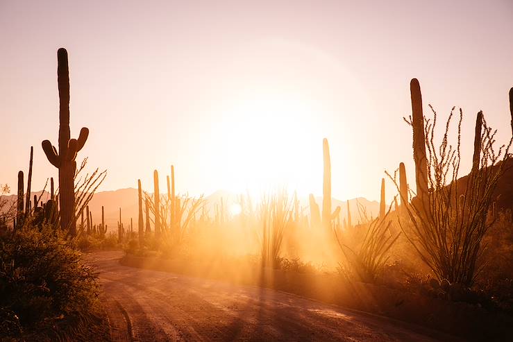 Palm Springs - Californie - Etats-Unis © L'oeil d'Eos 