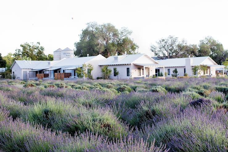 Albuquerque - États-Unis © Los Poblanos Historic Inn and Organic Farm