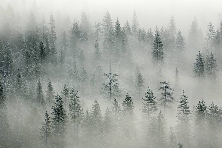 Storm - United States © Getty Images/iStockphoto