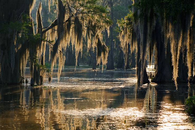 Bayou of Louisiana - United States © Pierre-Jean DURIEU - stock.adobe.com