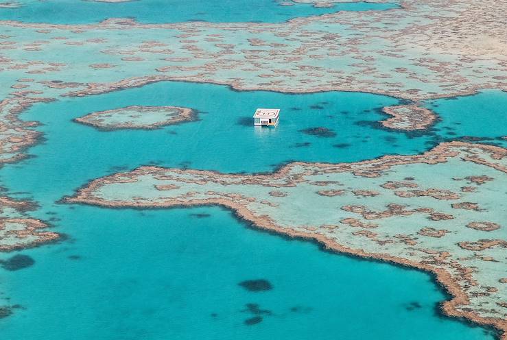 The Great Barrier Reef - Australia © Rhiannon Taylor