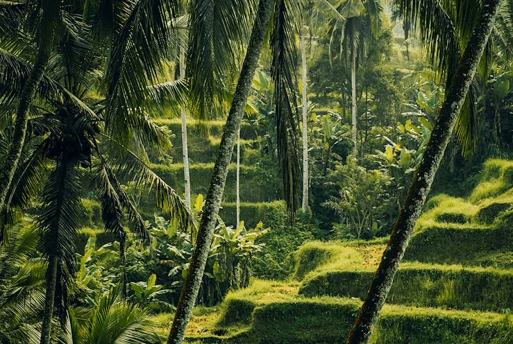 Ubud - Bali - Indonesia © Jérôme Galland