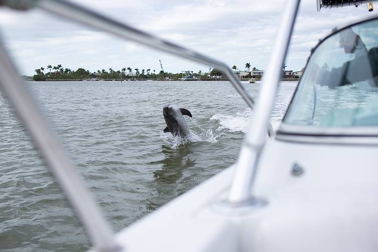 10 000 îles - Floride - Etats-Unis © Tamara Sales  - stock.adobe.com