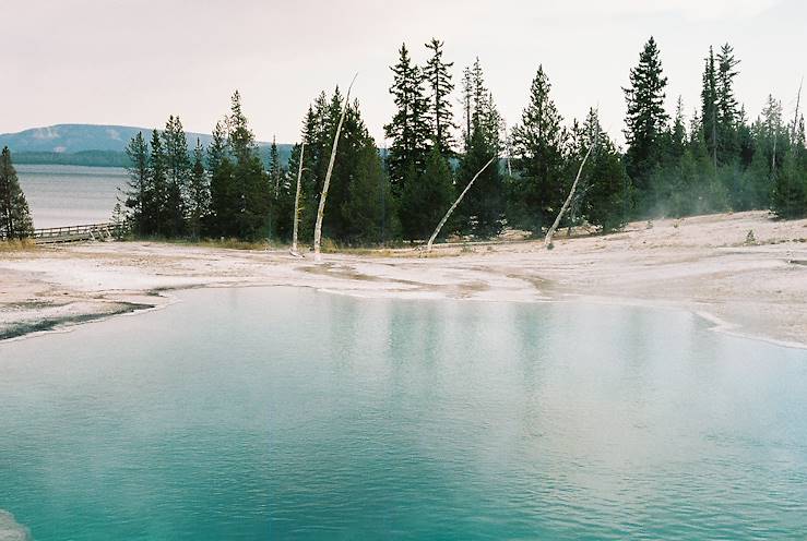 Yellowstone - Wyoming  - USA © Kate Berry