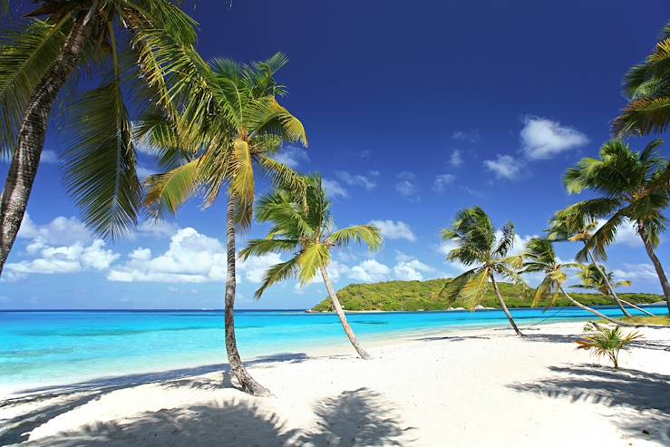 Palm trees and beach - Saint Vincent © Droits reservés