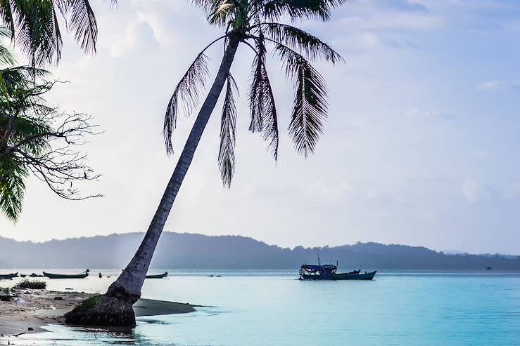 Beach and palm trees - Vietnam © streetflash/stock.adobe.com