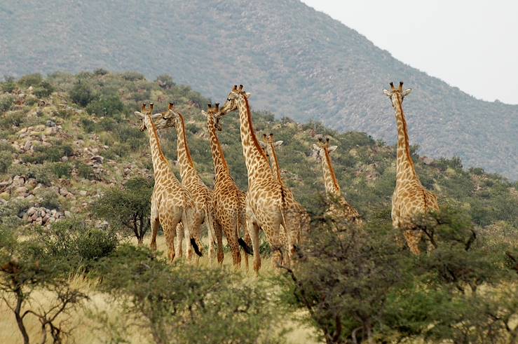 Tswalu Kalahari Reserve - Kuruman - South Africa © Tswalu Kalahari Reserve