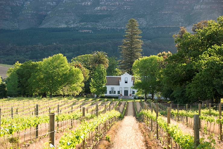 Franschhoek - Cap occidental - Sout Africa © Frank Van Den Bergh/Getty Images