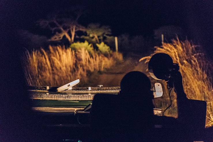 Safari by night - South Africa © Droits reservés