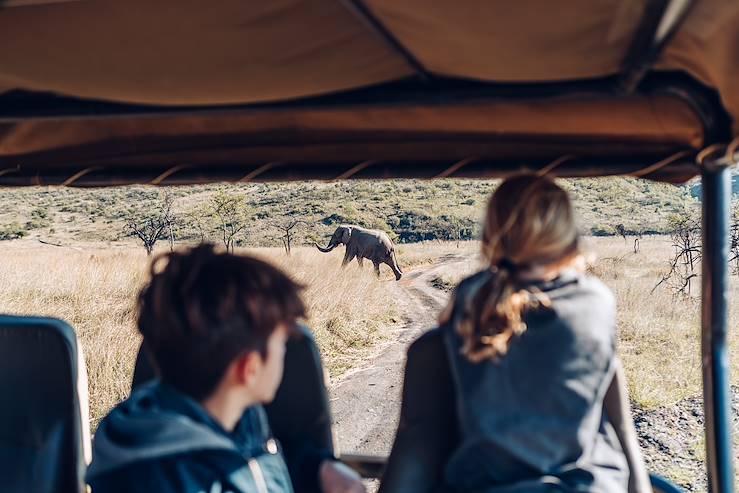 Elephant - Ladysmith - KwaZulu-Natal - South Africa © Olivier Romano