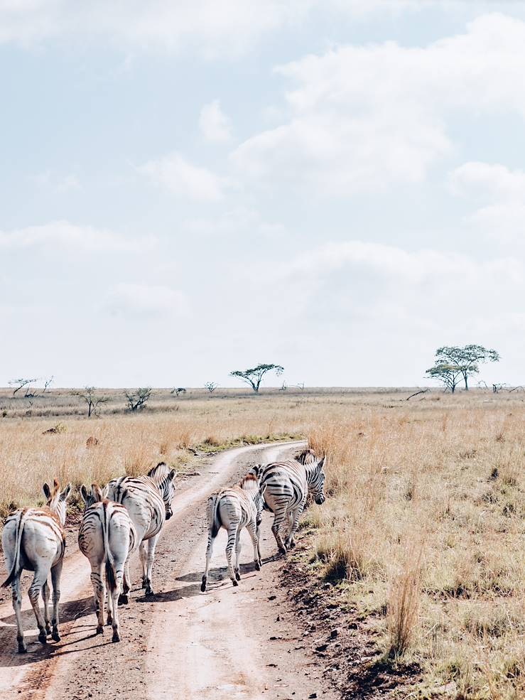 Afrique du Sud © Olivier Romano