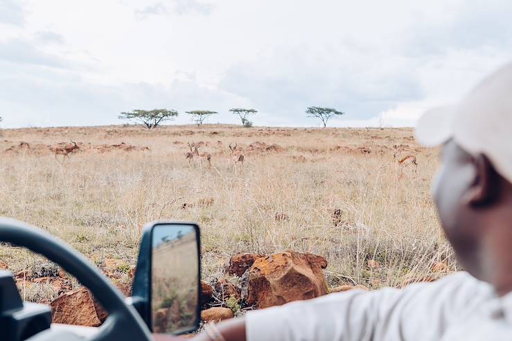 Safari in Ladysmith - KwaZulu-Natal - Afrique du Sud © Olivier Romano