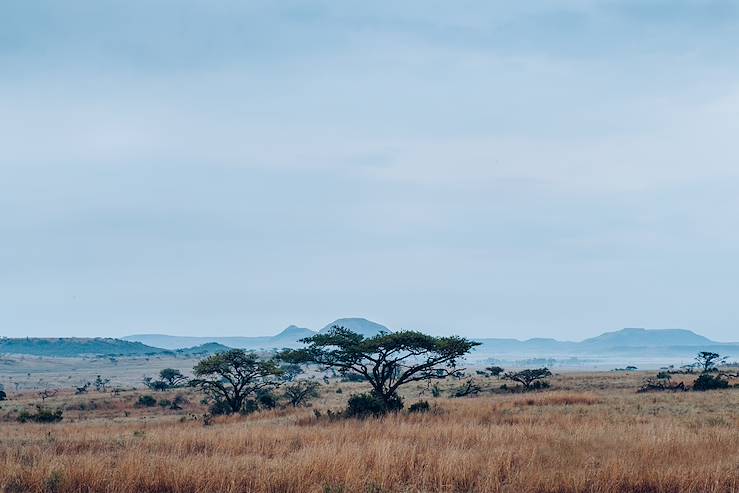 KwaZulu-Natal - South Africa © Olivier Romano