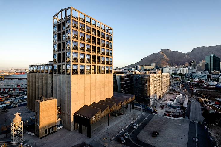 Zeitz Museum of Contemporary Art Africa -  South Africa © Droits reservés