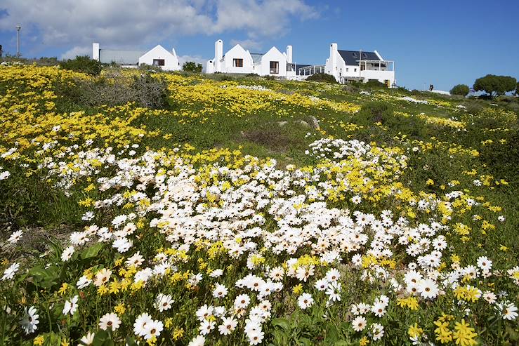 Abalone Boutique hotel  - Cape Town  - South Africa © Droits reservés