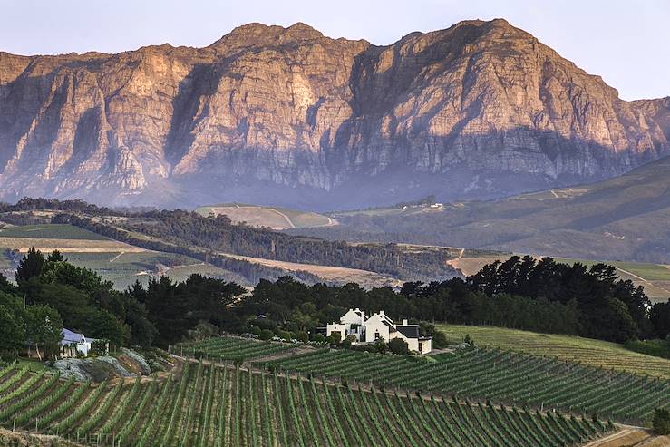 Wine Valley - South Africa © Janik Alheit/stock.adobe.com