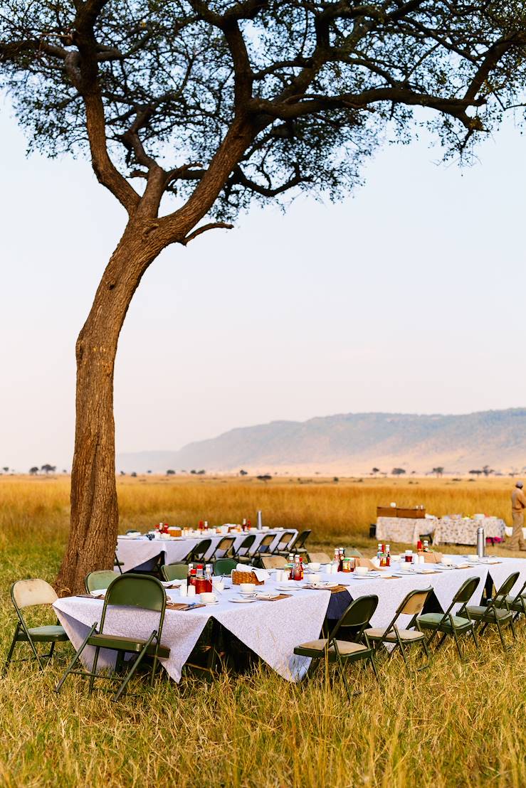 Brunching in savanna © Droits reservés