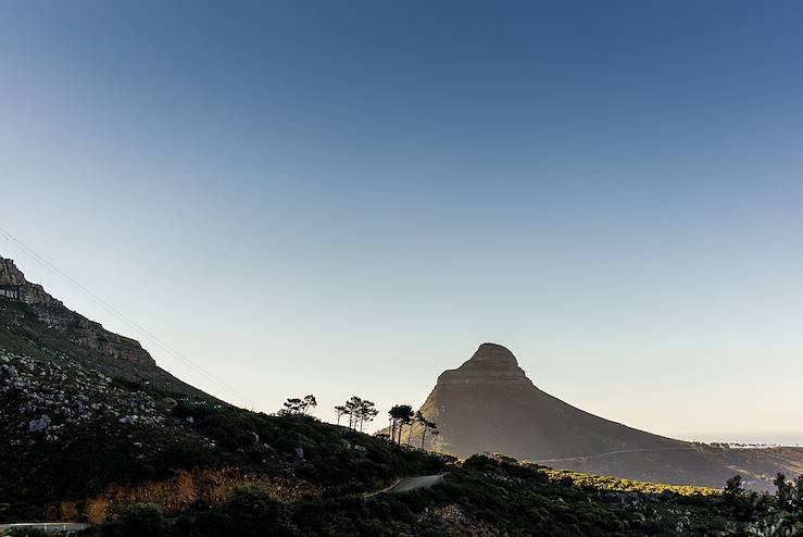 Lion's Head - South Africa © gdefilip/stock.adobe.com