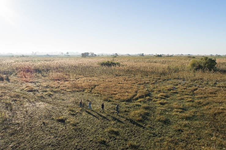 Walking in savanna - South Africa © Droits reservés