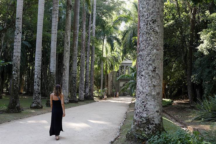 Botanical Garden - Rio do Janeiro - Brazil © Alix Pardo